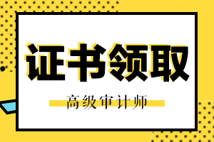 2020年高级审计师证书领取的时间公布了吗？