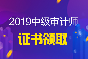 兵团2019中级审计师证书领取时间在哪一天？