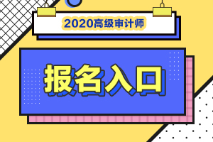 2020年全国高级审计师考试报名时间及入口汇总