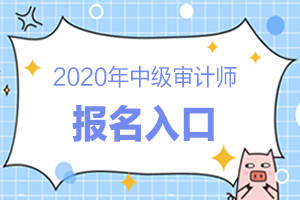 2020年中级审计师报名时间是什么？报名入口在哪？