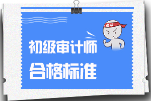 2019年初级审计师甘肃省内合格标准两科合计满115分！