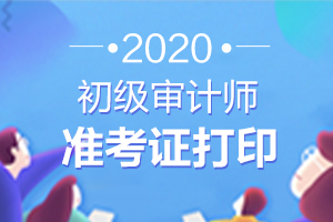 2020年审计师考试不带准考证可以吗，能参加考试吗？