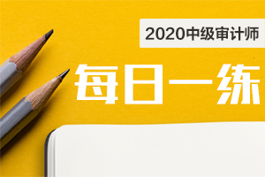 2020年中级审计师考试《审计专业相关知识》每日一练（100）