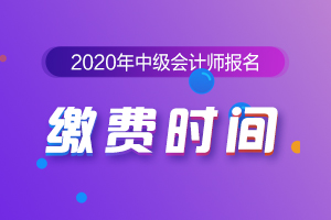 2020年中级会计报名表填完了 什么时候缴费？