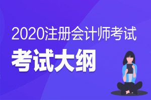 2021年注册会计师专业阶段《会计》考试大纲第一章 会计基本原理
