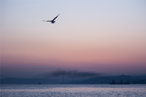 陕西省榆林市2020年税务师可以报名了吗？