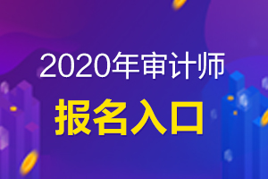 内蒙古2020年中级审计师报名需要什么材料？