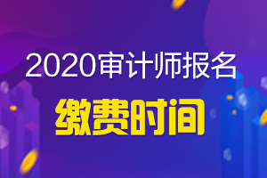 福建2020审计师报名缴费时间已公布！如何进行缴费？