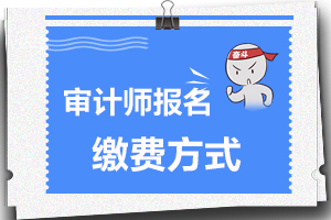 2020年河南审计师报名为什么不能网上缴费？