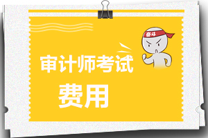 福建2020年审计师考试报名费用标准是什么？