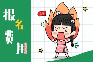 江西2020年中级审计师报名费用是多少？