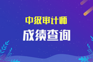 2020年新疆中级审计师成绩查询的时间在几月？