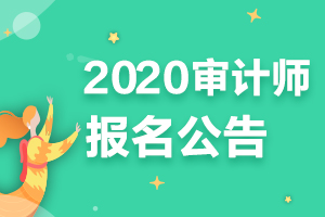 陕西省2020年度审计专业技术资格考试考务工作公告