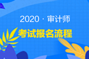 【官网图文详解】2020年审计师考试网上报名系统操作手册