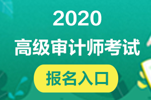 2021年审计师报考国家公务员考试怎么在网上进行报名?