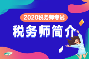 2020年税务师考试简介