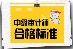 关于确定2019年度审计专业资格考试内蒙古自治区合格标准的通知 