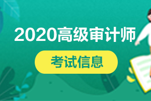 注意，2020年高级审计师考试已结束！