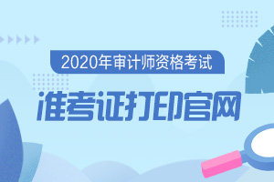 2020年审计师考试准考证打印官网是什么？