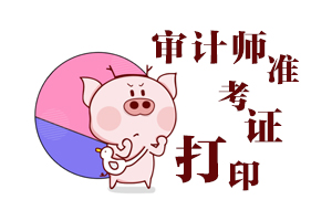 2020年审计师准考证需要打印彩色的吗？黑白的可以吗？