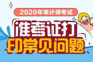 2020审计师考试准考证打印常见问题汇总！不容忽视！！！