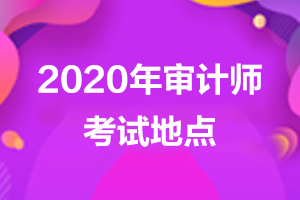 北京市2020年审计师考试地点是什么？
