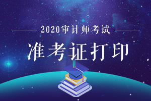 2020年审计师考试不带准考证可以进行考试吗？