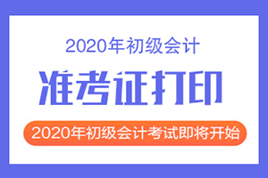 2020年初级会计廊坊市准考证2020年8月24日-28日打印！