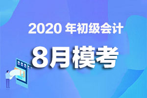 2020年初级会计实务考前模拟卷（整套）