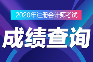 湖南省2020年注册会计师考试成绩什么时候可以查询？