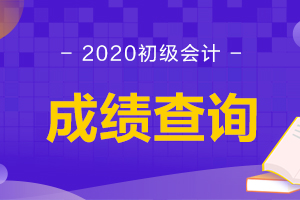 初级会计成绩查询官网