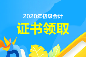 2020年初级会计有电子版证书吗？