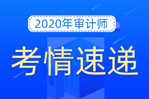 2020年中级审计师综合考情分析