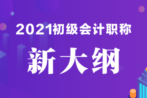 2021年初级会计实务大纲第二章汇总