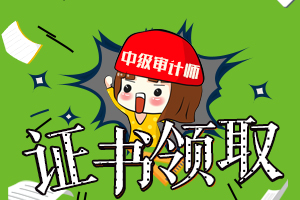 2019年河北沧州中级审计师证书领取方式是什么？