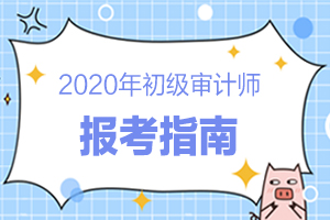 报考指南 | 2020年初级审计师报名考试信息汇总