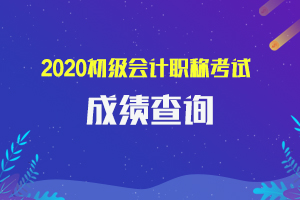 2020河北省初级会计职称考试成绩什么时候可以查询？