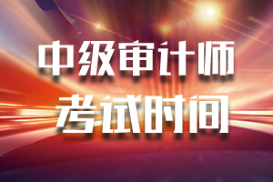 2020年中级审计师考试在10月11日结束！