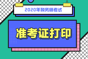 广西贵港市2020年税务师准考证打印网址是什么？