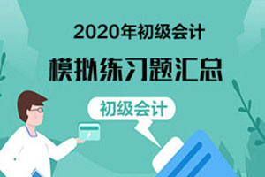 2020年初级会计职称考试模拟练习题汇总（7-16）
